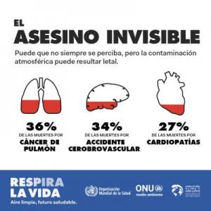 BreatheLife 2030 Infographic 01 Spanish